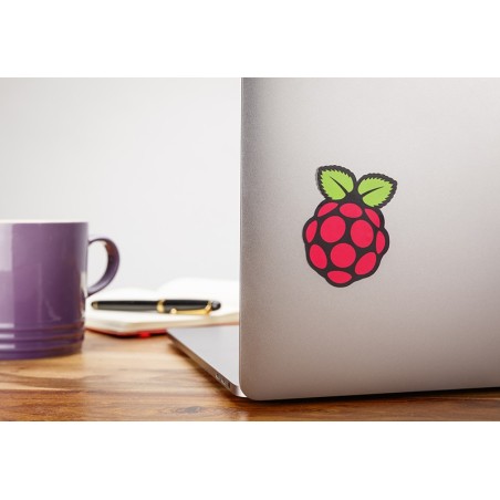 Sticker officiel Logo Raspberry Pi